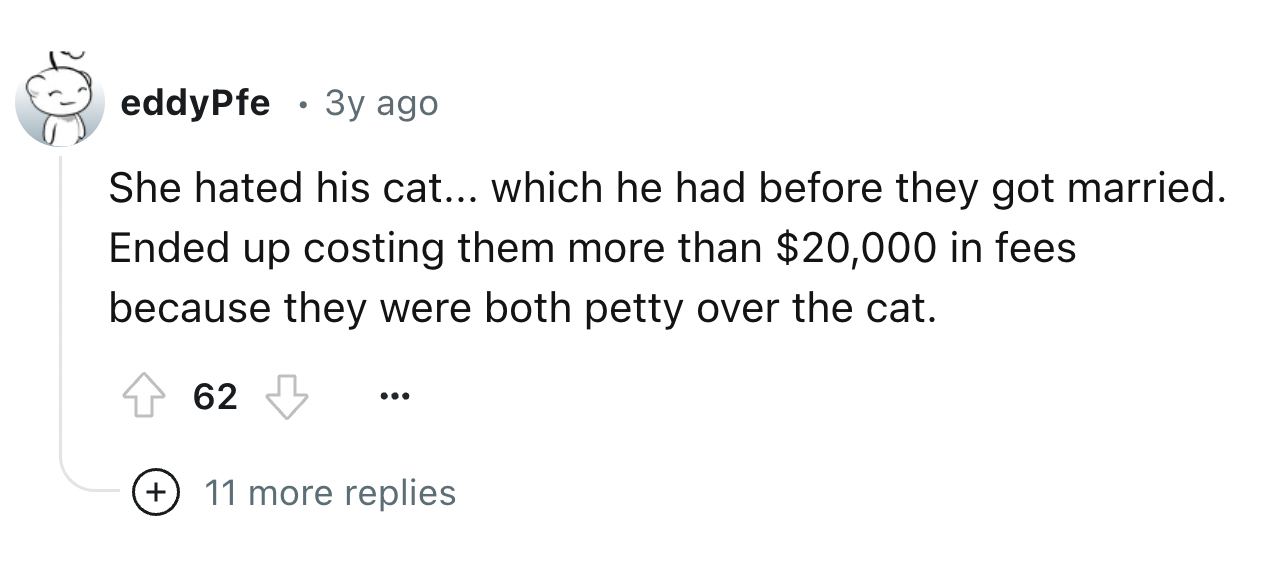 number - eddyPfe 3y ago She hated his cat... which he had before they got married. Ended up costing them more than $20,000 in fees because they were both petty over the cat. 62 11 more replies